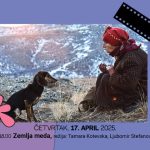 TEEN KINO predstavlja film Zemlja meda