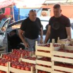 Paprika i paradajz najtraženiji