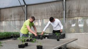 Red za kupovinu rasada u Poljoprivrednoj školi